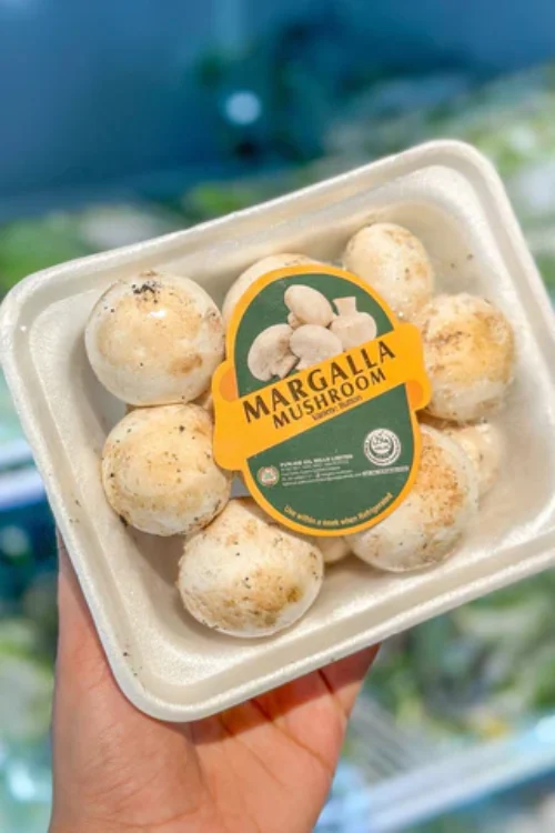 Button Mushrooms