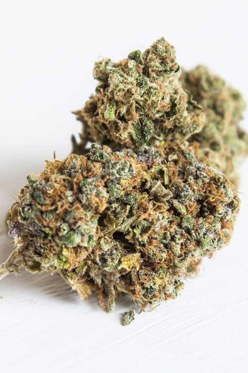 Sativa Strains