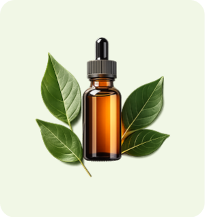 CBD Oils