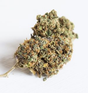 weedpurity